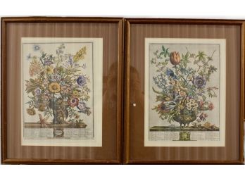 Original Framed Set Of Two ROBERT FURBER Botanical (Value $175.00)