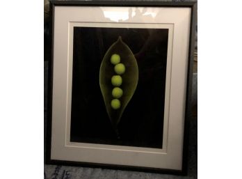 HAROLD FEINSTEIN Framed, Matted & Numbered Gilcee (Valued At $500.00+)