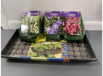 Packets Of Flower Roots And Seed Starter Tray