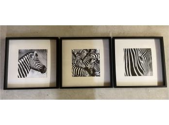 3 Piece Framed Zebra Art