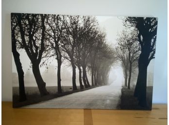 Tree Lined Path Printed Canvas