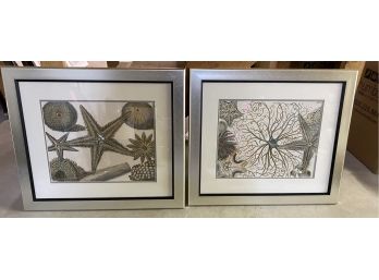 Beach Themed Framed Prints In Natural Beach Tones