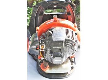 Echo Backpack Leaf Blower