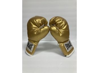 Everlast Gold Boxing Gloves