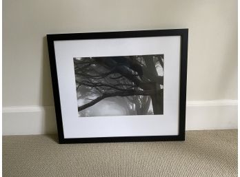 Framed Prints By Famous  Photographer Ansel Adams BW Photo Print