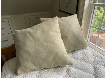 2 Pottery Barn Throw Pillows In Beige