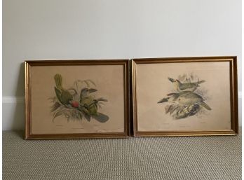 Set Of 2 IG Keulemans Prints Of Birds