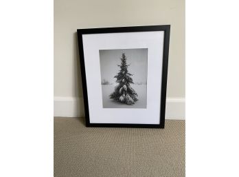 Framed Print Of A Picture Taken By Ansel Adams