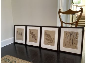 Beautiful Decorative 19th Century Leaf Framed Prints - Set Of 4 (original Price 1500)