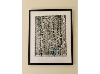 Framed Print Of A Picture Taken By Ansel Adams