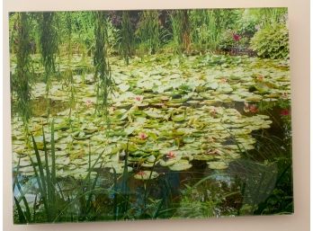 Wall Art - Waterlillies Photograph