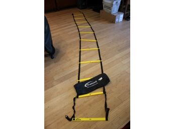 Pre Owned TRAINED SPORTS Fitness Workout Ladder