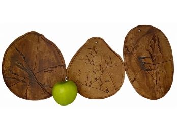 Trio Of  Pressed Grasses On Signed Studio Pottery  (JJ)