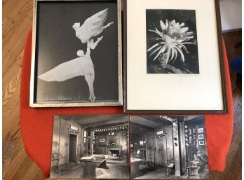 Ballet Bloom Wood Room Photographs 8'x10' To 13'x18'