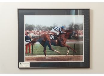 Framed Racing Horse Photograph ' Secretariat At The Kentucky Derby' 1973, Original Retail $500