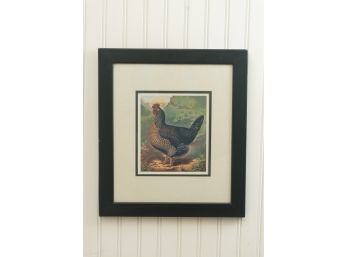 Framed Speckled Hen Print