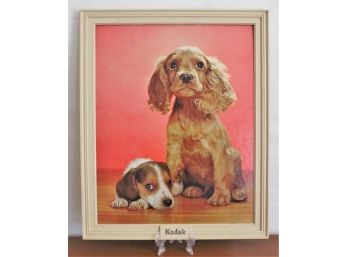 Retro Kodak Advertisement Sign With English Cocker Spaniel & Beagle, Circa 1970s