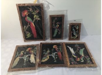 6 Wood Framed Birds Real Feathers