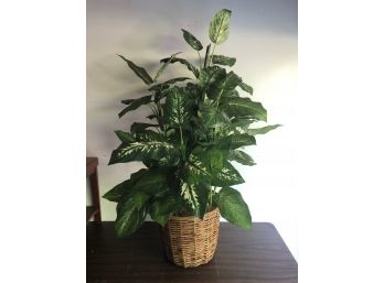 Artificial House Plant