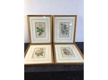 Antique Floral Prints Lot Of 4