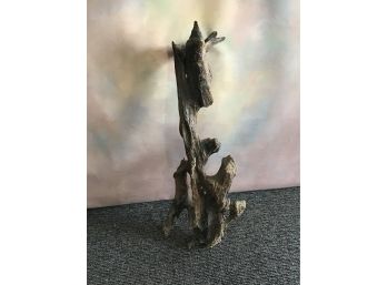 Large Drift Wood