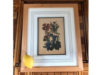 Merlot Grape Drawing - Nicely Framed