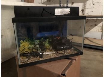 Fish Tank