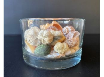 A Glass Column Bowl Full Of Natural Seashells