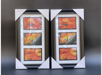 A Pair Of Three-Photo Display Frames, New/Unused