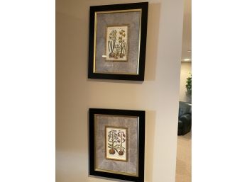 Framed Botanicals Print Pair