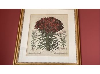 Trowbridge Frame With Floral Print From England