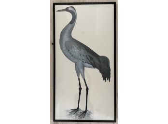 Olof Rudbeck Swedish Bird Giclee Print