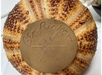 Vintage Ben Rickert Sea Urchin Pomander (fill With Potpourri) And Coral Sea Art Decor