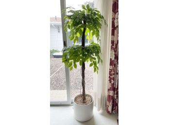 Silk Plant With White Ceramic Planter 60-inch H