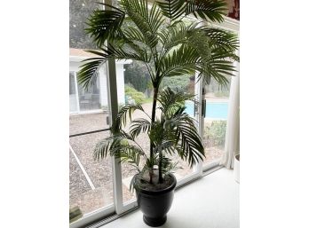 Large Faux Palm In Brown/Black Planter Base 70-inch H