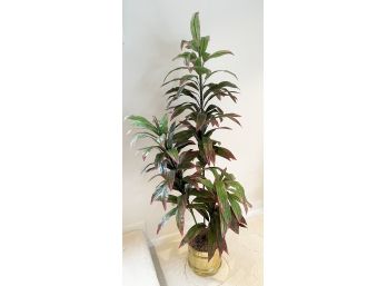Silk Plant In Brass-Style Planter 70-inch H