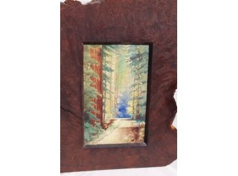 Fantastic Vintage Watercolor Of Redwoods In Redwood Frame - One Of A Kind