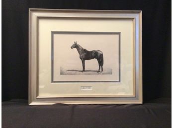 Matted And Framed Horse Print Equestrian Art Man O War