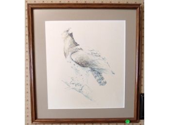 Framed Birds Of Prey Prints (2)