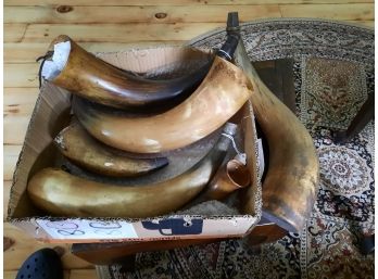 Box Lot Of 6 Antique Powder Horns In Various Sizes And Condition