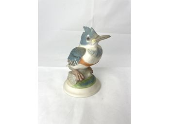 John Marshall Boehm Birds Numbered - Fledgling Kingfisher