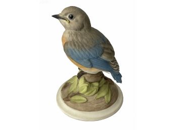 John Marshall Boehm Birds Numbered - Baby Blue Bird