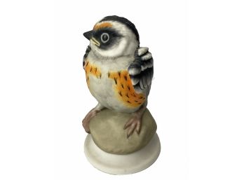 John Marshall Boehm Birds Numbered - Blackburnian Warbler