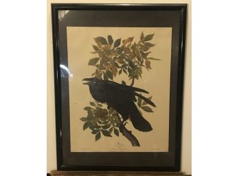 Decorative Bird Print