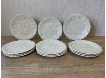 Set Of 12 P-V France Majolica White Plates