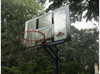 Lifetime Basketball Hoop