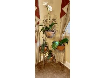 Wrought Iron Folding Plant Stand