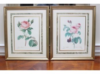 A Pair Of Framed First Edition Pink Rose Prints ~ From Original Work Of P.J. Redoute