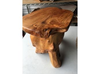 Cedar Wood Root Mushroom Stool