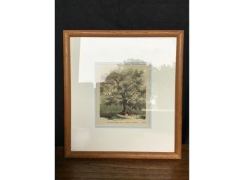 Framed Antique Print Of The Famous Charter Oak, Hartford, CT 12.5 X 13.5